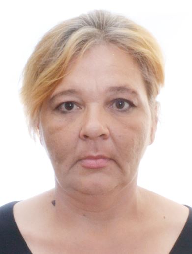 ���� ���������