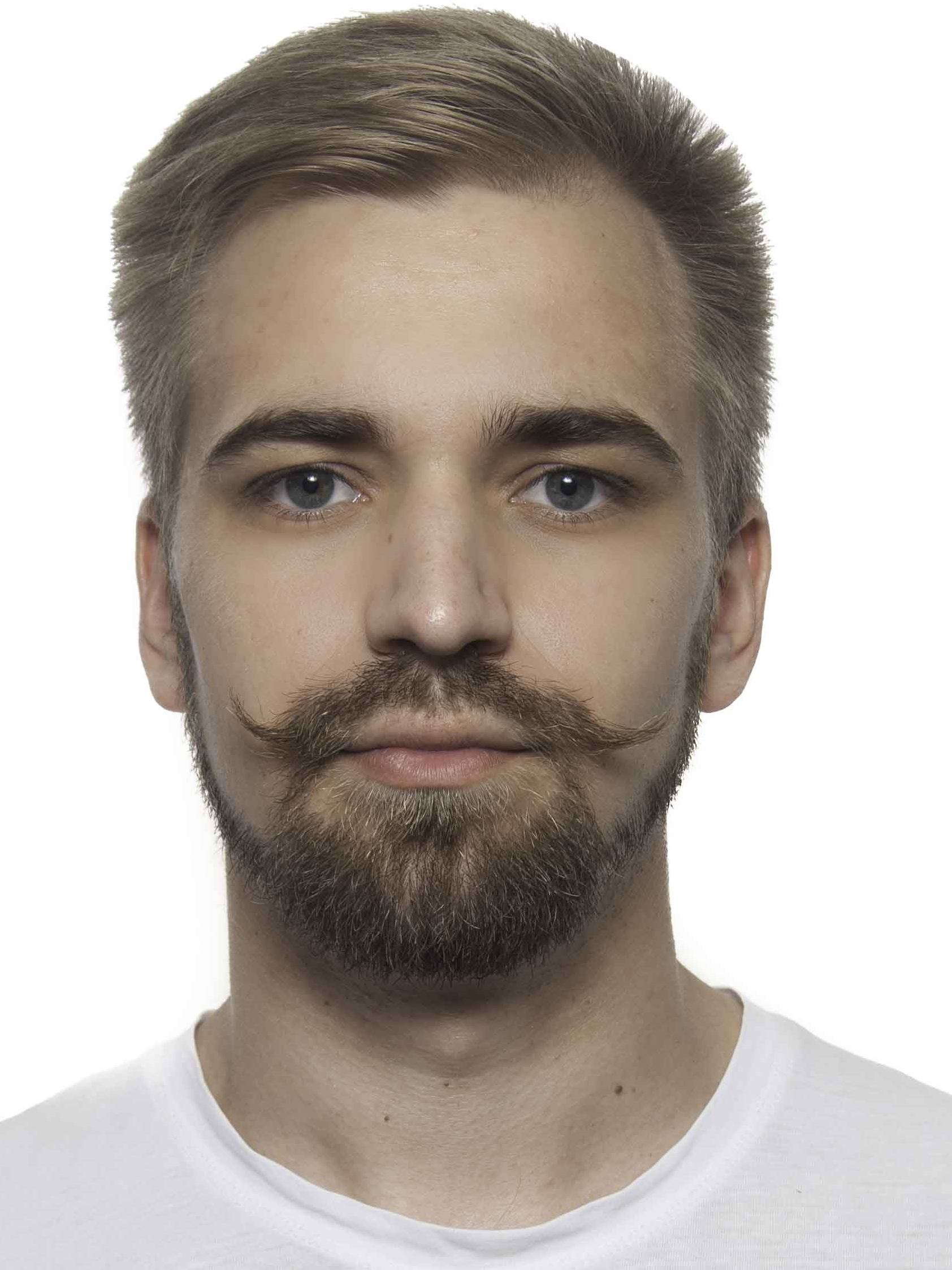 ���� ���������