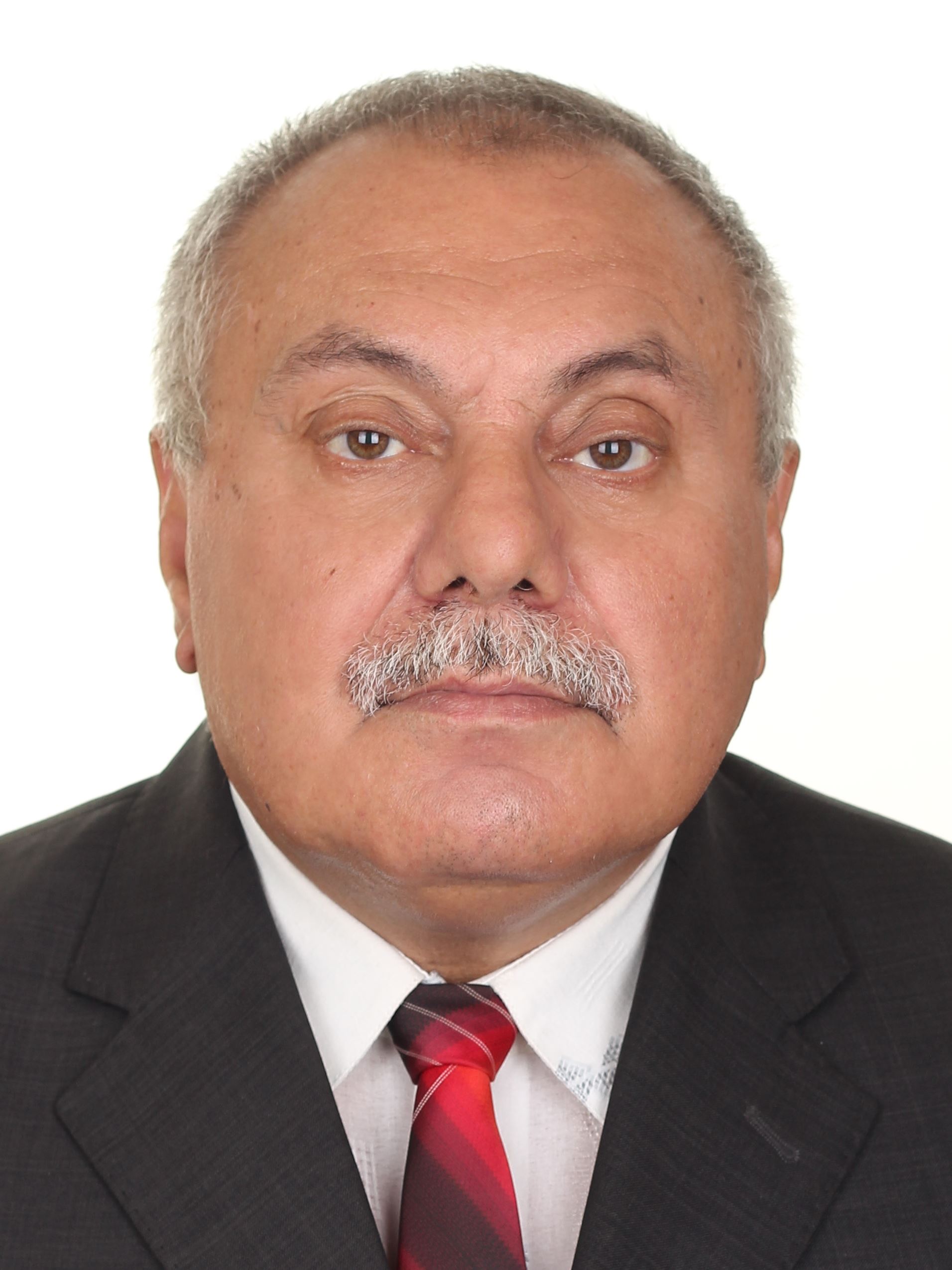 ���� ���������