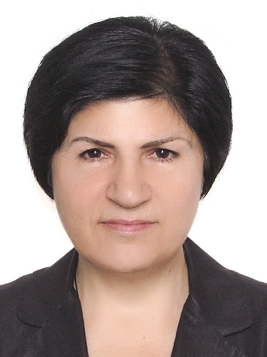 ���� ���������