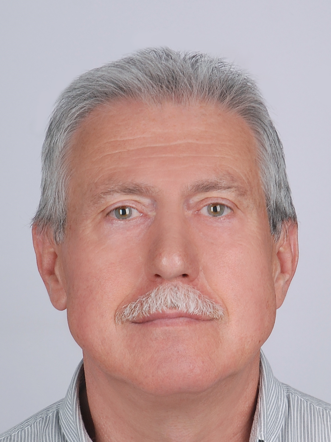 ���� ���������