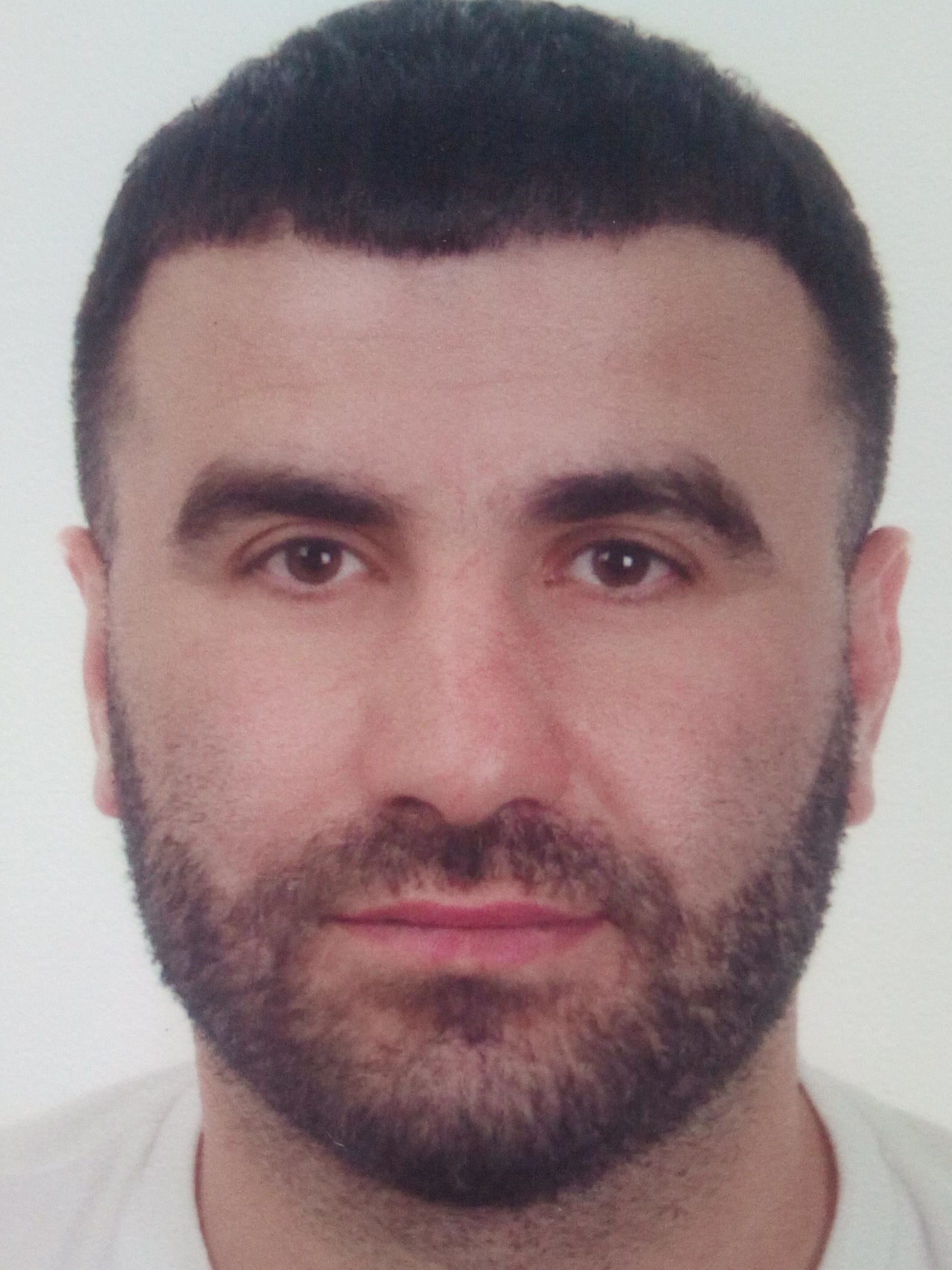 ���� ���������