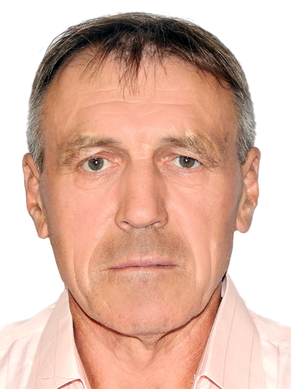 ���� ���������