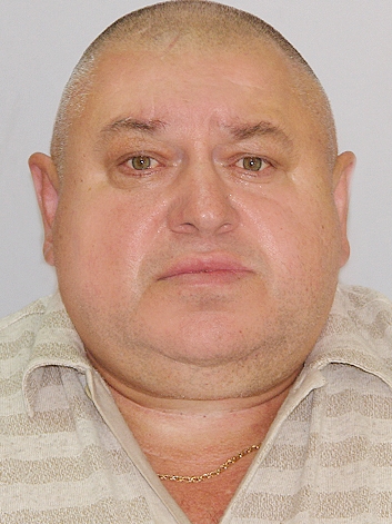 ���� ���������