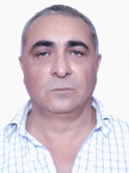 ���� ���������