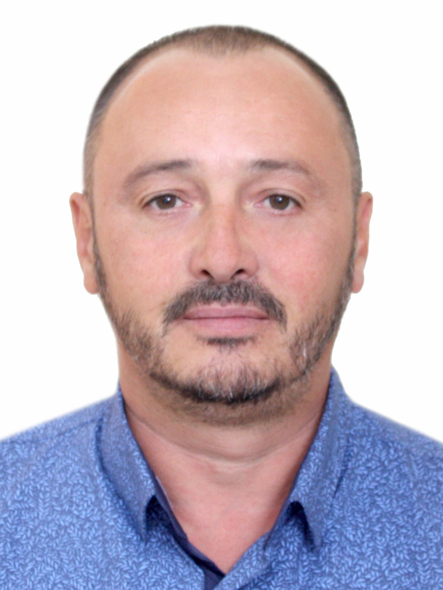 ���� ���������