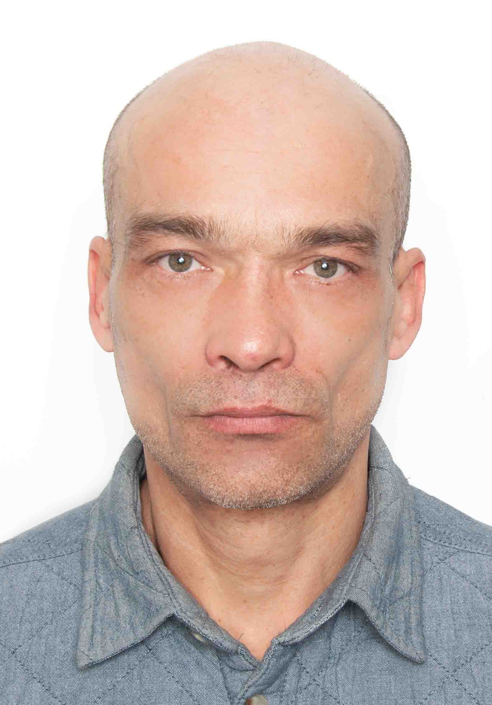 ���� ���������